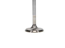 Load image into Gallery viewer, Manley Ford 4.6L 34mm Diameter 117.35mm Length Race Master Exhaust Valves (Set of 8)