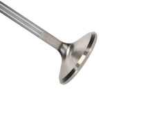 Load image into Gallery viewer, Manley Ford 4.6L 37.5mm Diameter 117.35mm Length Race Master Exhaust Valves (Set of 8)