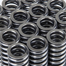 Load image into Gallery viewer, Skunk2 Alpha Series Honda D Series VTEC Valve Spring Set