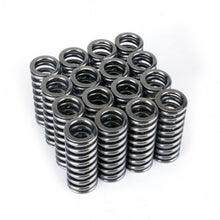 Load image into Gallery viewer, Skunk2 Alpha Series Honda D Series VTEC Valve Spring Set